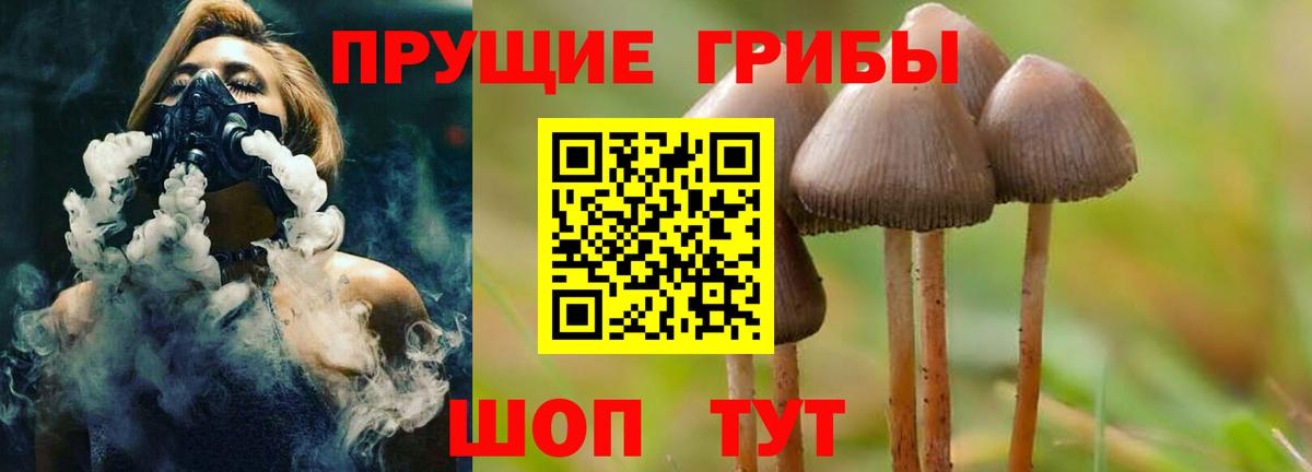 Галлюциногенные грибы MAGIC MUSHROOMS  Псилоцибиновые грибы MAGIC MUSHROOMS  Ростов Великий  Вход с VPN 