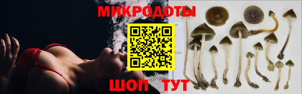 Псилоцибиновые грибы Cubensis Ростов Великий